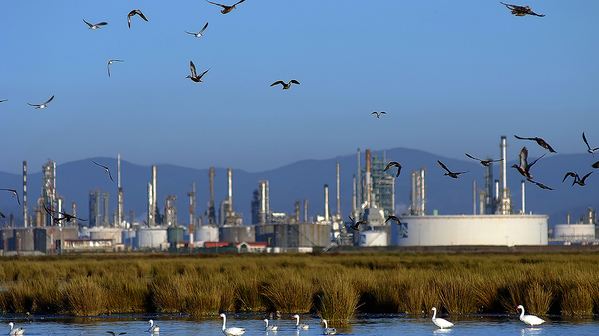 Enap already has its first batch of renewable diesel.
